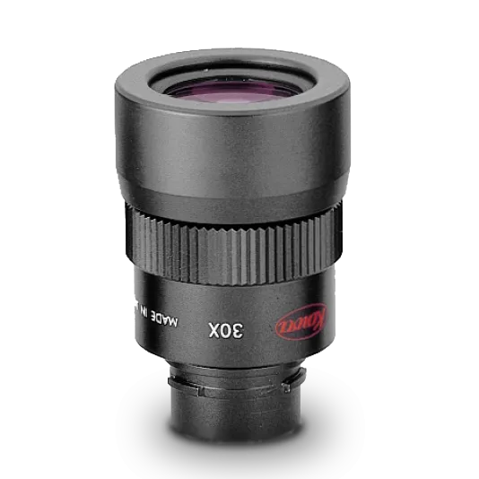Oculaire TSE-14WD officiel