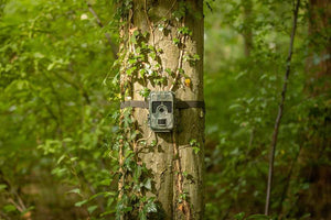 Camouflage wildcamera SM4pro 