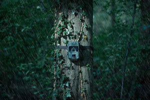 Camouflage wildcamera SM4pro 