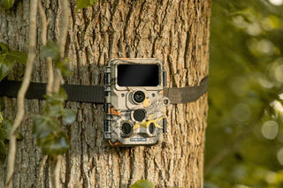 Caméra de chasse Camouflage EZ60 Wi-Fi - Envoi sur smartphone