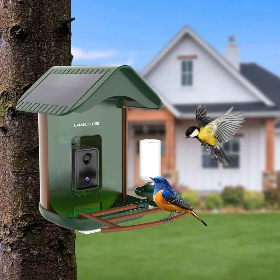 Slimme vogelvoeder met AI-soortendetectie 