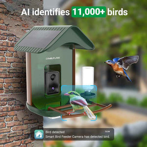 Slimme vogelvoeder met AI-soortendetectie 