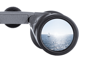 Steiner BluHorizons 8X22 verrekijker 
