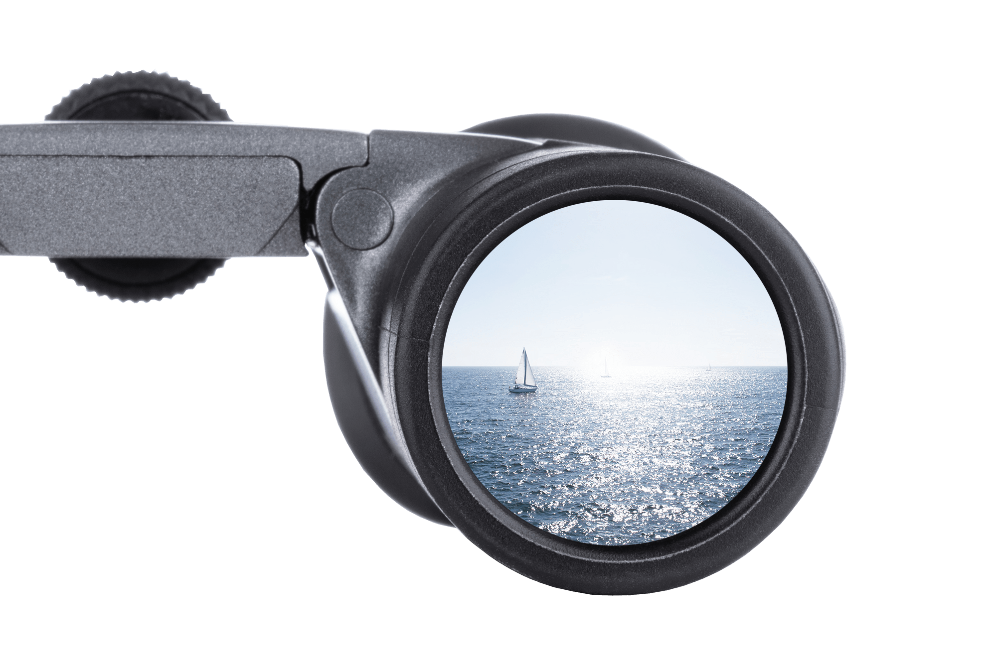 Steiner BluHorizons 8X22 verrekijker 