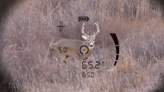 Bushnell FUSION X 10x42 afstandsmeter verrekijker 