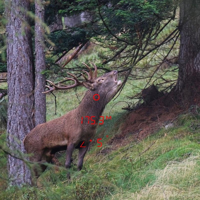 Verrekijker GPO met afstandsmeter Rangeguide 3200 10x40 