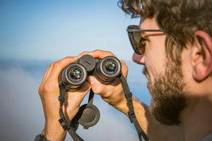 Nikon Monarch M5 8X42 verrekijker 