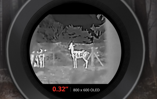 Hikmicro Lynx S LE 15S thermische monoculair 