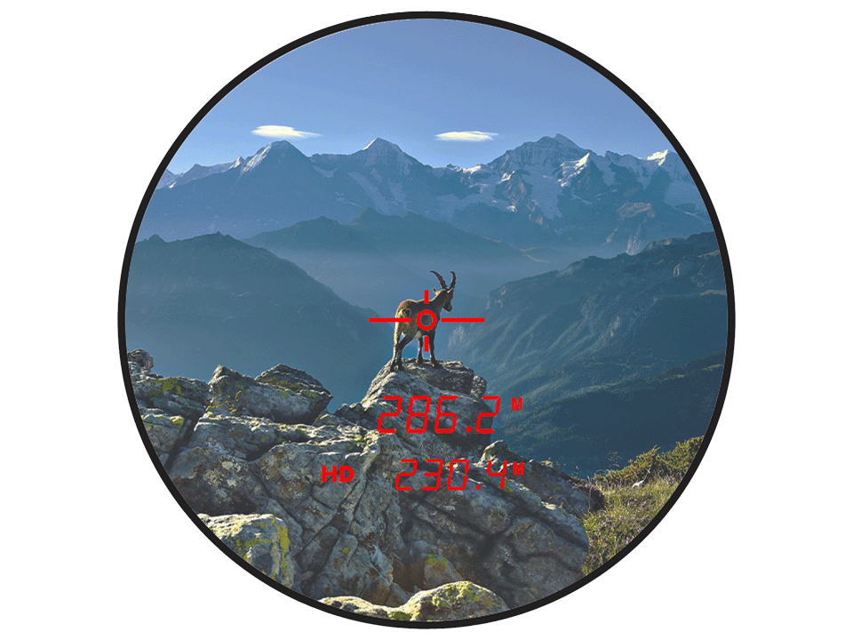 Steiner Ranger LRF 10X42 verrekijker 