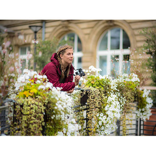 Steiner Safari Ultrasharp 8X25 Miniporro verrekijker 