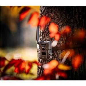 Spypoint Flex-M Twin Pack camera 