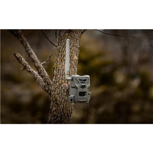 Spypoint Flex-M Twin Pack camera 