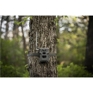 Spypoint Flex-M Twin Pack camera 