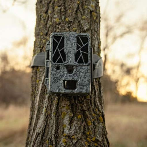 Spypoint Force Pro Dark 4K onverbonden wildcamera 