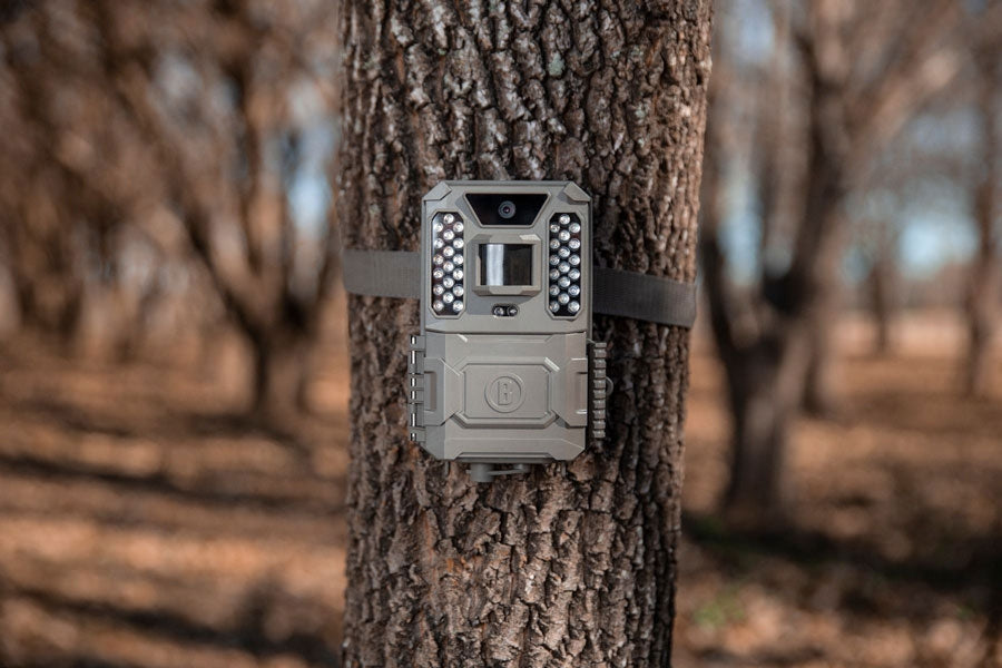 Bushnell Prime 24MP Wildcamera met witte LED-verlichting 