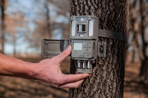 Bushnell Prime 24MP Wildcamera met witte LED-verlichting 
