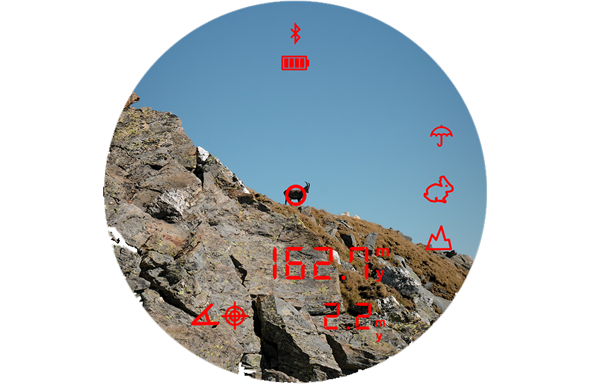 Verrekijker Steiner eRanger LRF 10x42 met geïntegreerde afstandsmeter 
