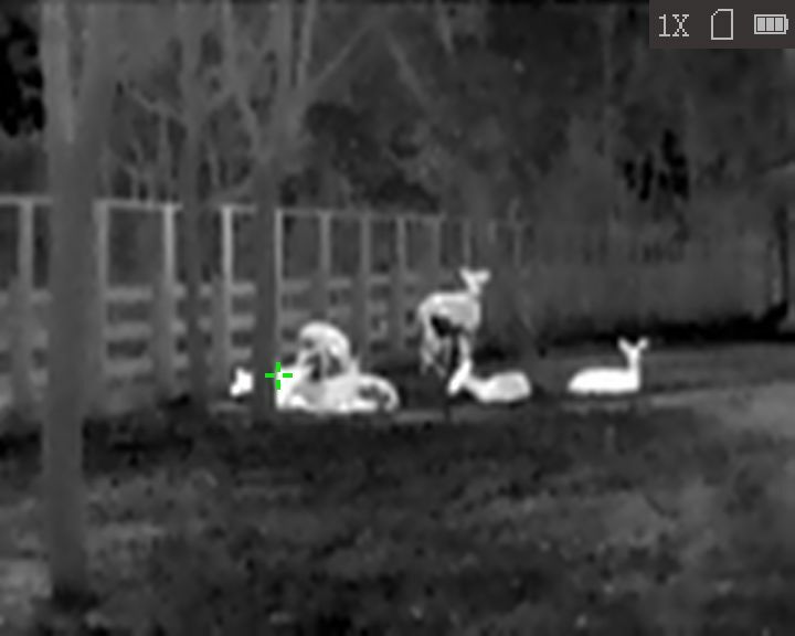 HiKMICRO Lynx LC06 S verbonden thermische monoculair 