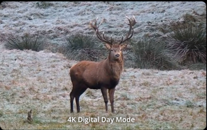 Thermische verrekijker Hikmicro HABROK 4K HE25L 2.0 