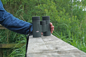 Kowa BDIII-XD 8×42 — vue complémentaire