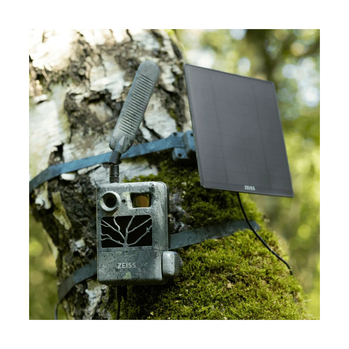 Fotoval ZEISS Secacam 3-pack zonnepaneel 