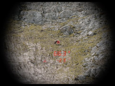 Steiner Ranger LRF 10X42 verrekijker 