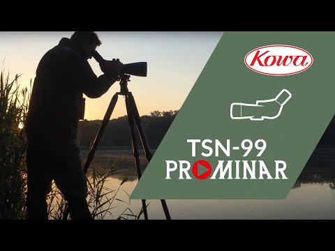 Kijker Kowa TSN-99A met 45° schuine inkijk en TE-11WZ II oculair 