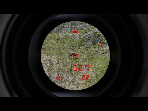 Verrekijker Steiner eRanger LRF 10x42 met geïntegreerde afstandsmeter 