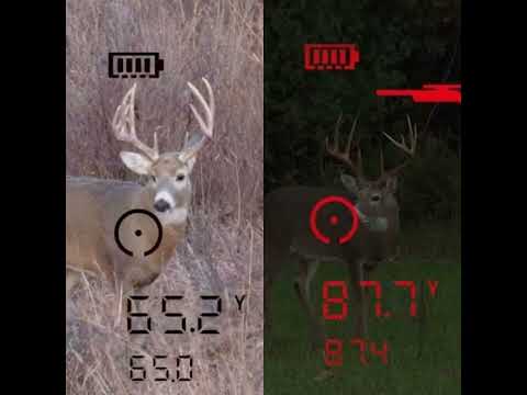 Bushnell FUSION X 10x42 afstandsmeter verrekijker 