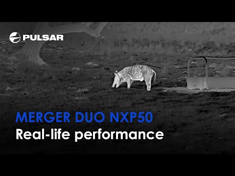Pulsar Merger DUO NXP50 multi-channel warmtebeeld- en nachtzichtkijker 