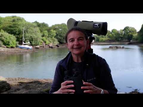 Kite APC 16×42 gestabiliseerde verrekijker 