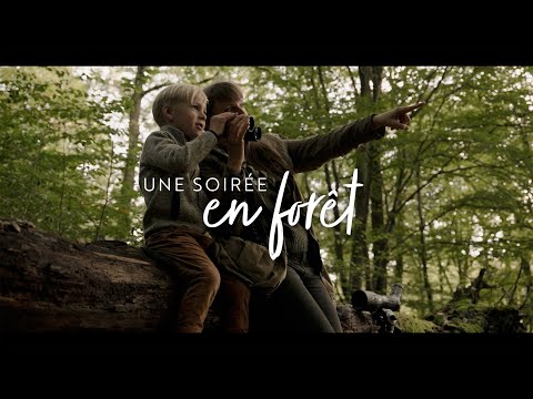 Kijkers Kite Optics KSP 80 HD 25-50X80 + Ardea CF statief met Manfrotto 128 RC videokop 