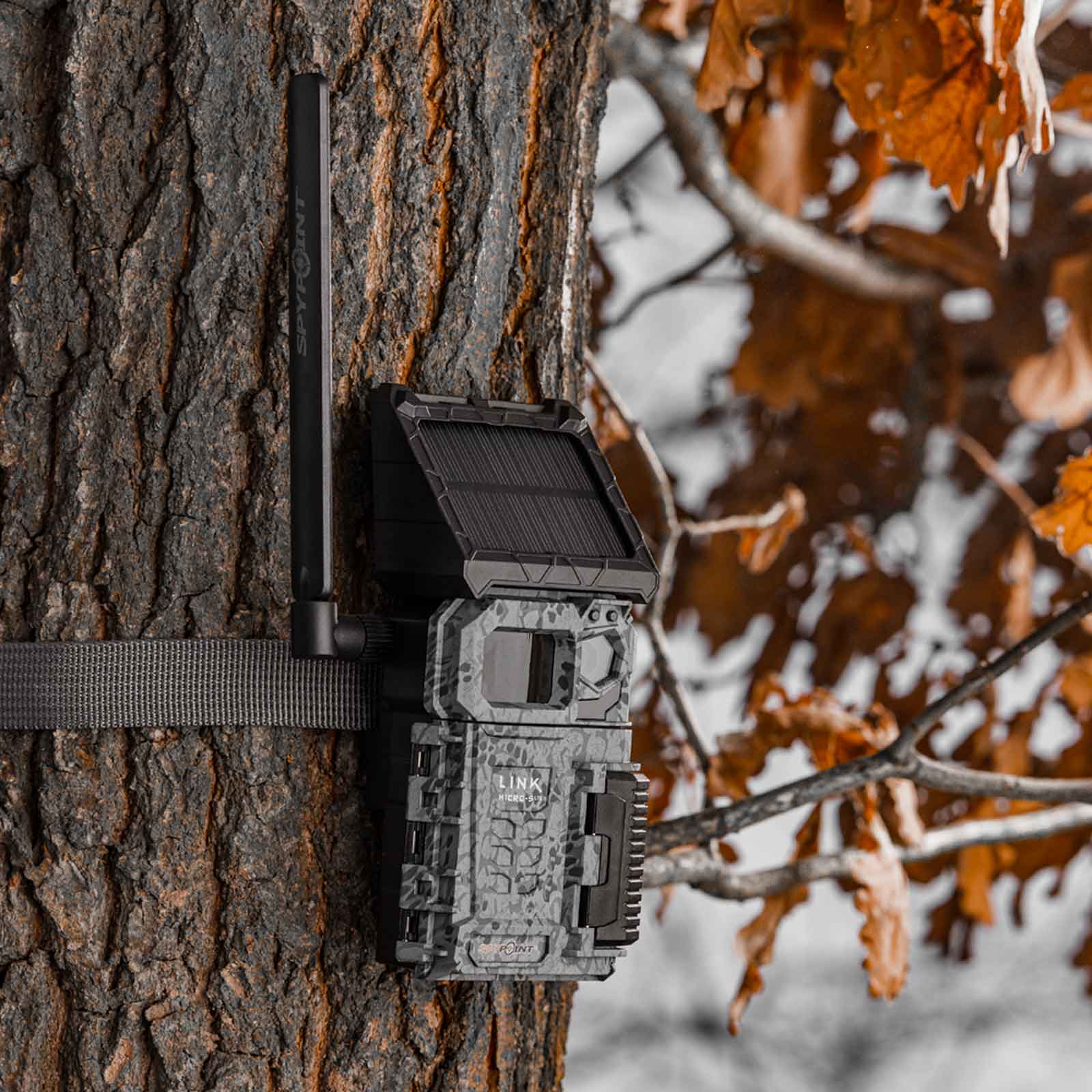 Spypoint FLEX Solar foto-/videocommunicerende wildcamera 