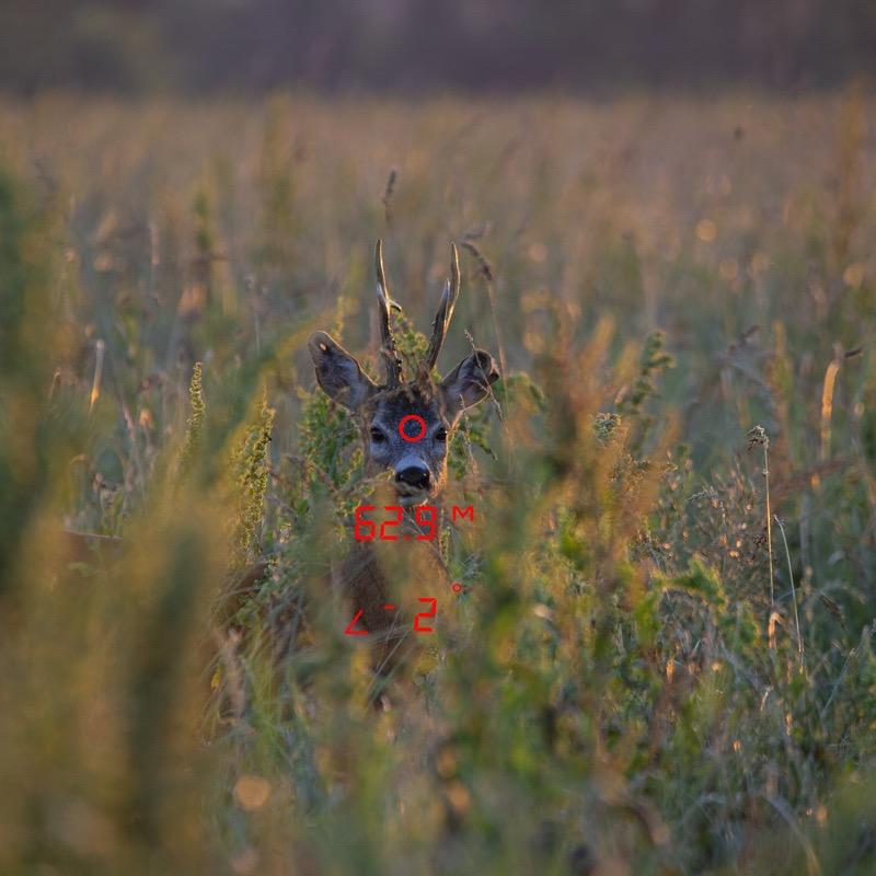 GPO verrekijker met afstandsmeter Rangeguide 2800 8x32 